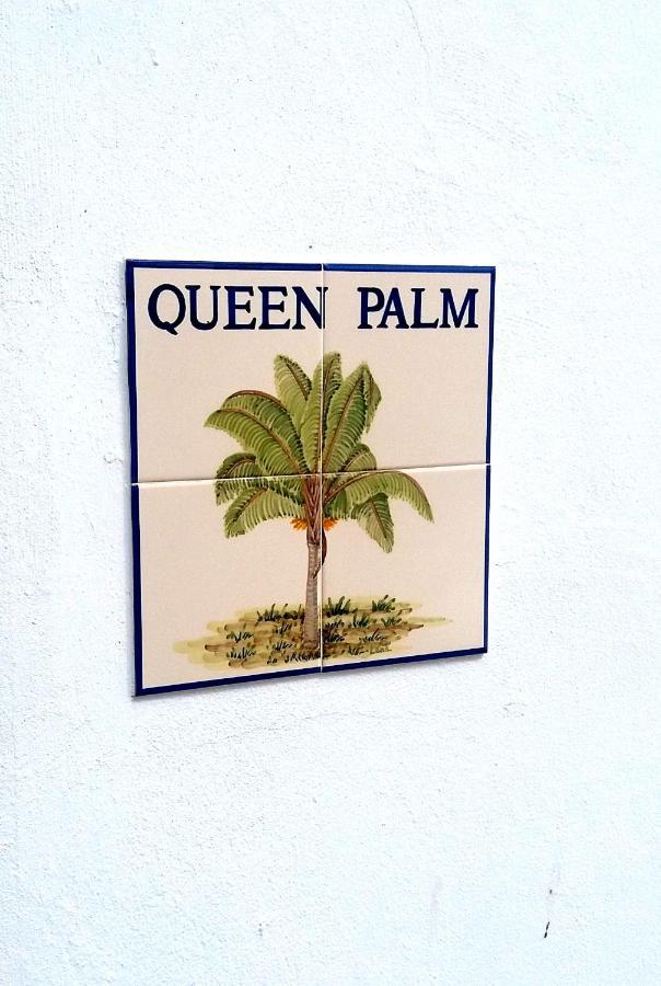 Queen Palm Luz Esterno foto